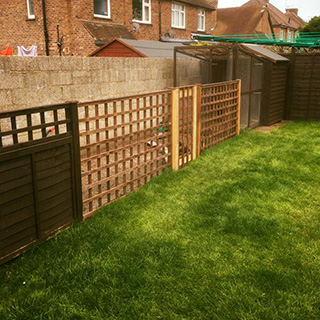 Lattice fencing for a chicken run